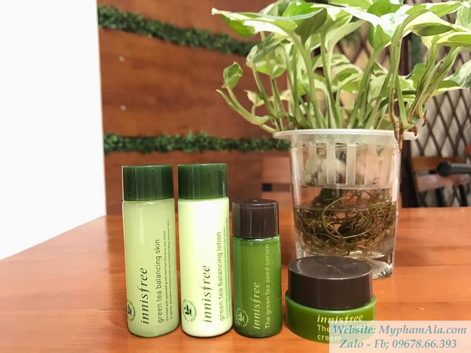 kit-tra-xanh-4-mon_result