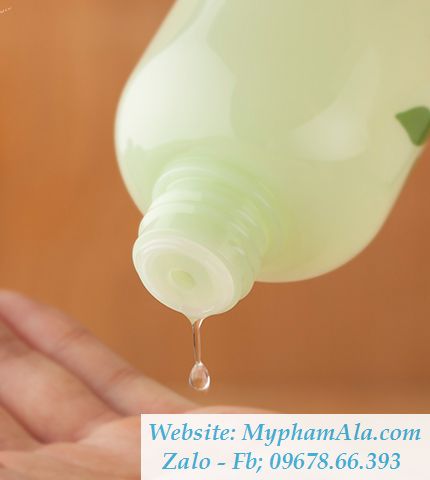 innisfree-green-tea-fresh-skin-4_result