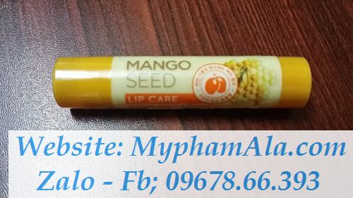 mangoseedlipcare03_result