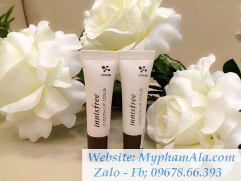 tay-te-bao-chet-innisfree