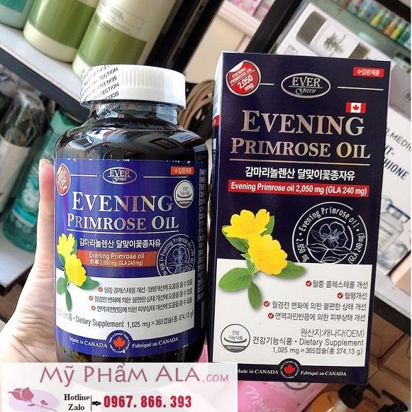 vien-uong-tinh-dau-hoa-anh-thao-ever-green-canada