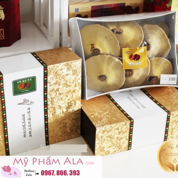 Nấm-Linh-Chi-Hàn-Quốc-Hộp-Quà-Tặng-Kim-Tuyến-Cao-Cấp-1-kg-600x600