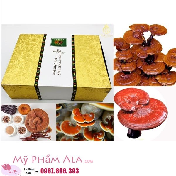 nam-linh-chi-hop-kim-tuyen-anh-dai-dien-01_result