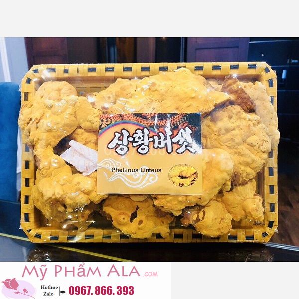nam-linh-chi-thuong-hoang-han-quoc-khay-1