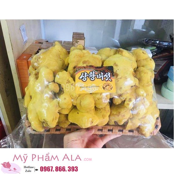 nam-linh-chi-thuong-hoang-han-quoc-khay-600x600